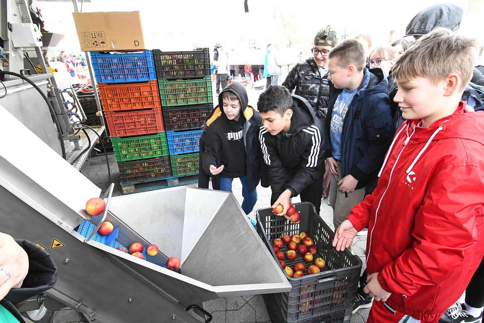 Tavaszünnep - több száz fehérvári iskolás látogatott a Városi Piacra